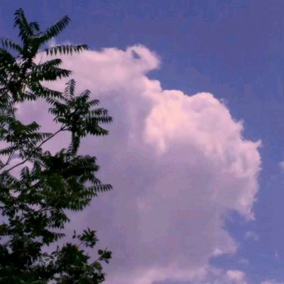 游路版清宫无间斗下载